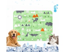 Koelmat Hond - Koelmat Kat - Water Koelmat - Zelfkoelende Hondenmat Zomer Koelkussen - voor Thuis, Onderweg of in de Auto - Fysieke Koeling - Activeer Met Water - PVC + Polymeergel - Krasvast Lekvrij - Lichtgroen - 30x40cm - 1 Stuk