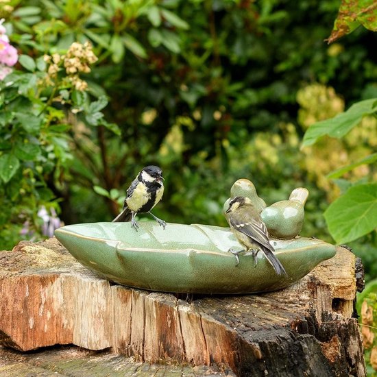 Groen vogelbadje in bladervorm met twee vogels erop, zittend op een boomstronk.