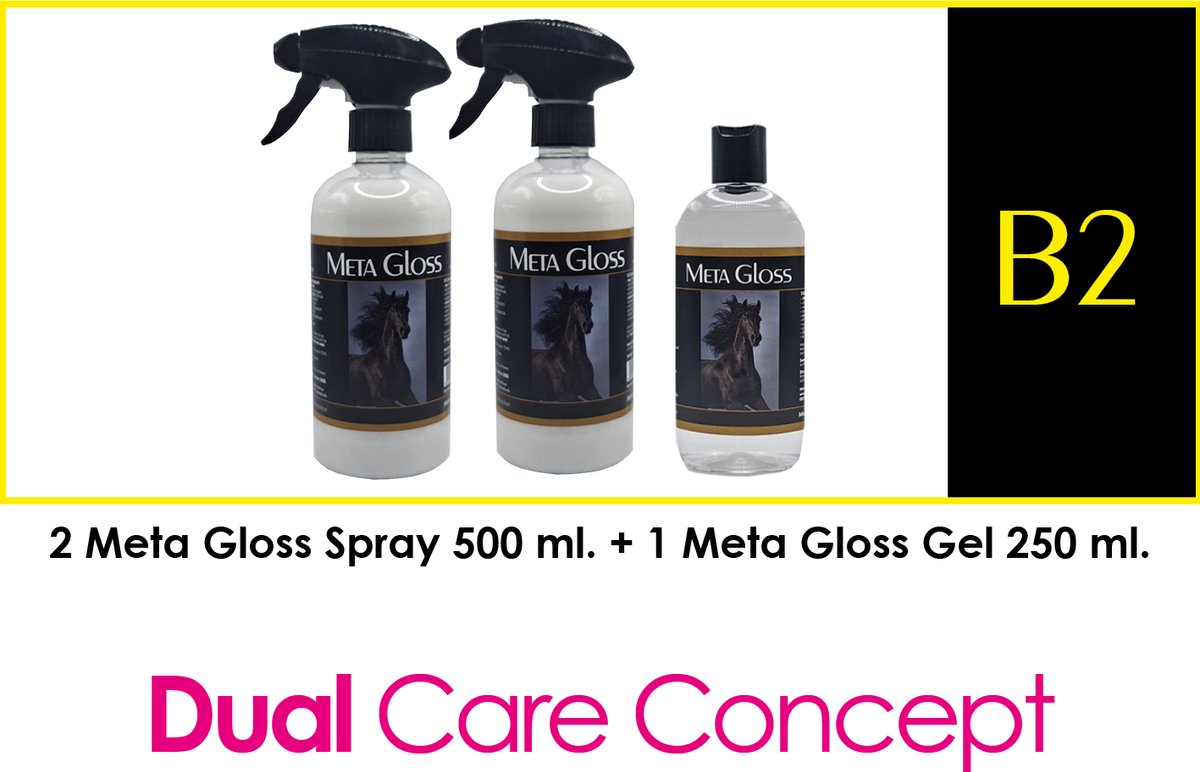 Meta Gloss Package Deal - B2