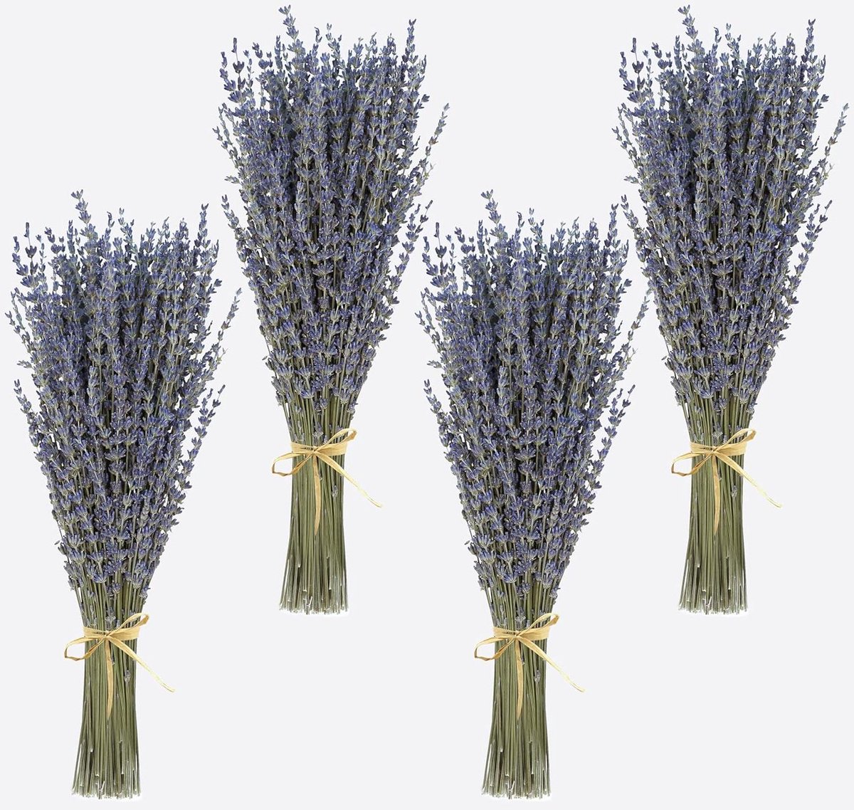 Gedroogde Lavendel Boeketten - Natuurlijke Bloemen - Decoratie en Aromatherapie - 100% Natuurlijk Fris - 400-440 Stelen - Natuurlijk