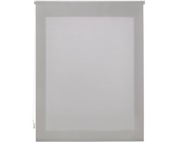 Lichtdoorlatend Rolgordijn - Raambekleding Gordijnstof - Lichtregulatie Thuis - Duurzaam Polyester Materiaal - 160 x 175 cm - Zilverkleurig