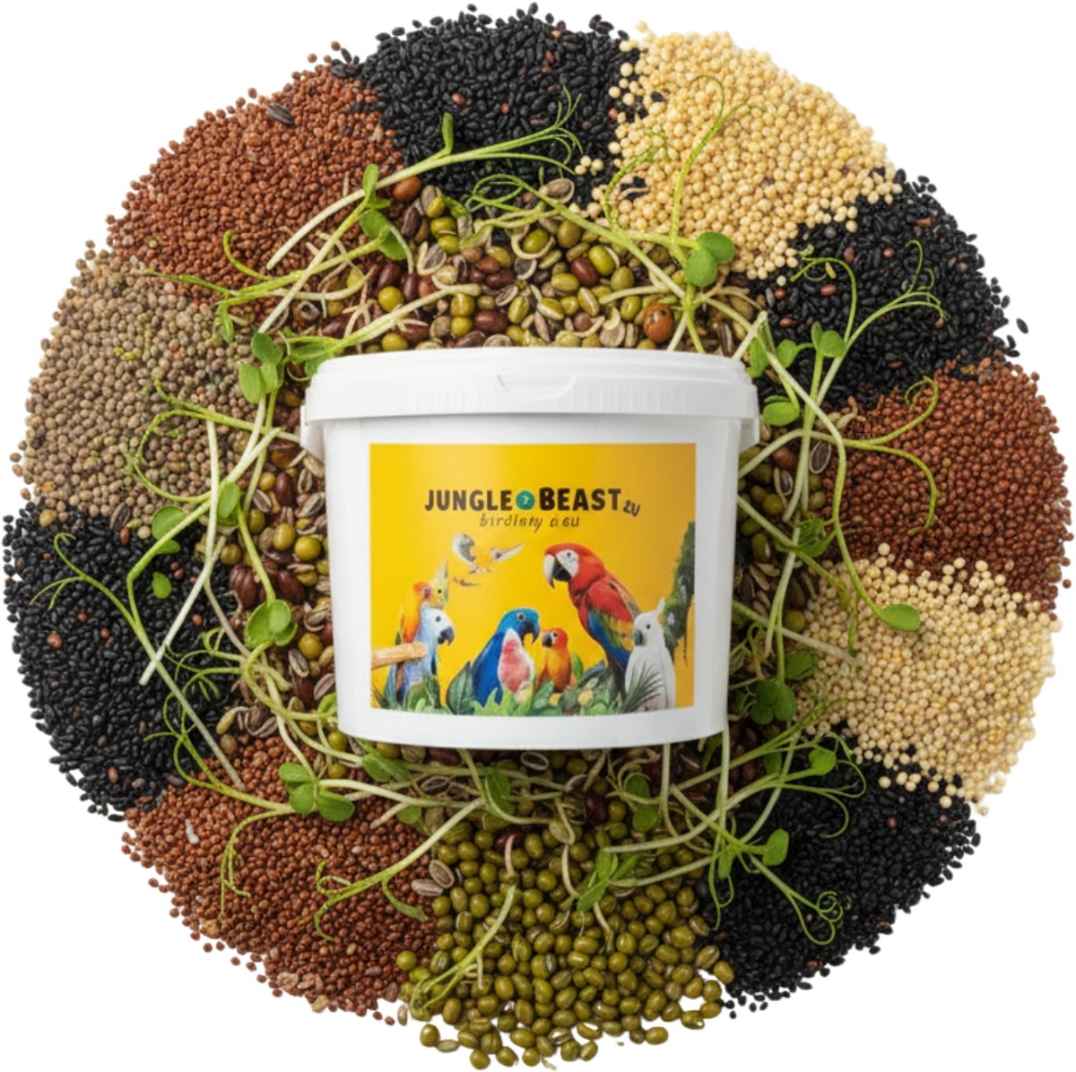 Kiemzaden | Jungle Beast | papegaaien | voeding | bird