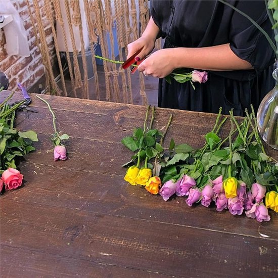 Rozen Doorn Stripper - Rozenprikker Verwijderaar - Bloemen Schikken - Dubbele Steel Ontwerp - 150 Gram - Rood — afbeelding 5
