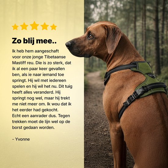 Harnais pour chien - Harnais anti- Trek - Harnais pour chien - Y Harness Dog - Réfléchissant - Vert - Taille L