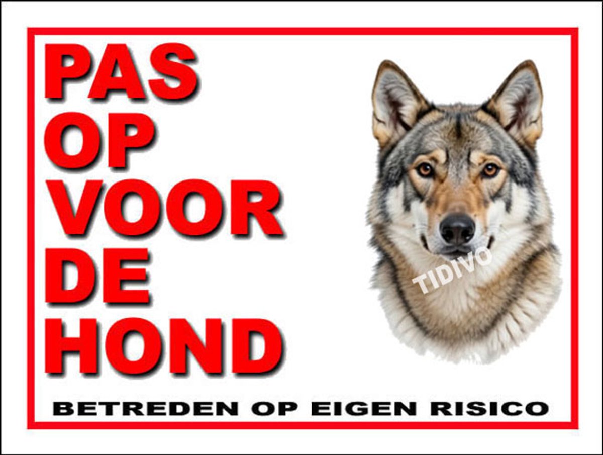Saarlooswolfhond 13