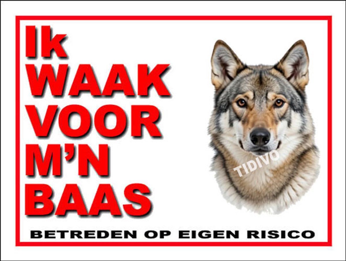 Saarlooswolfhond 9
