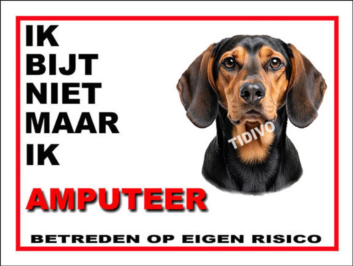 Schillerstövare 5