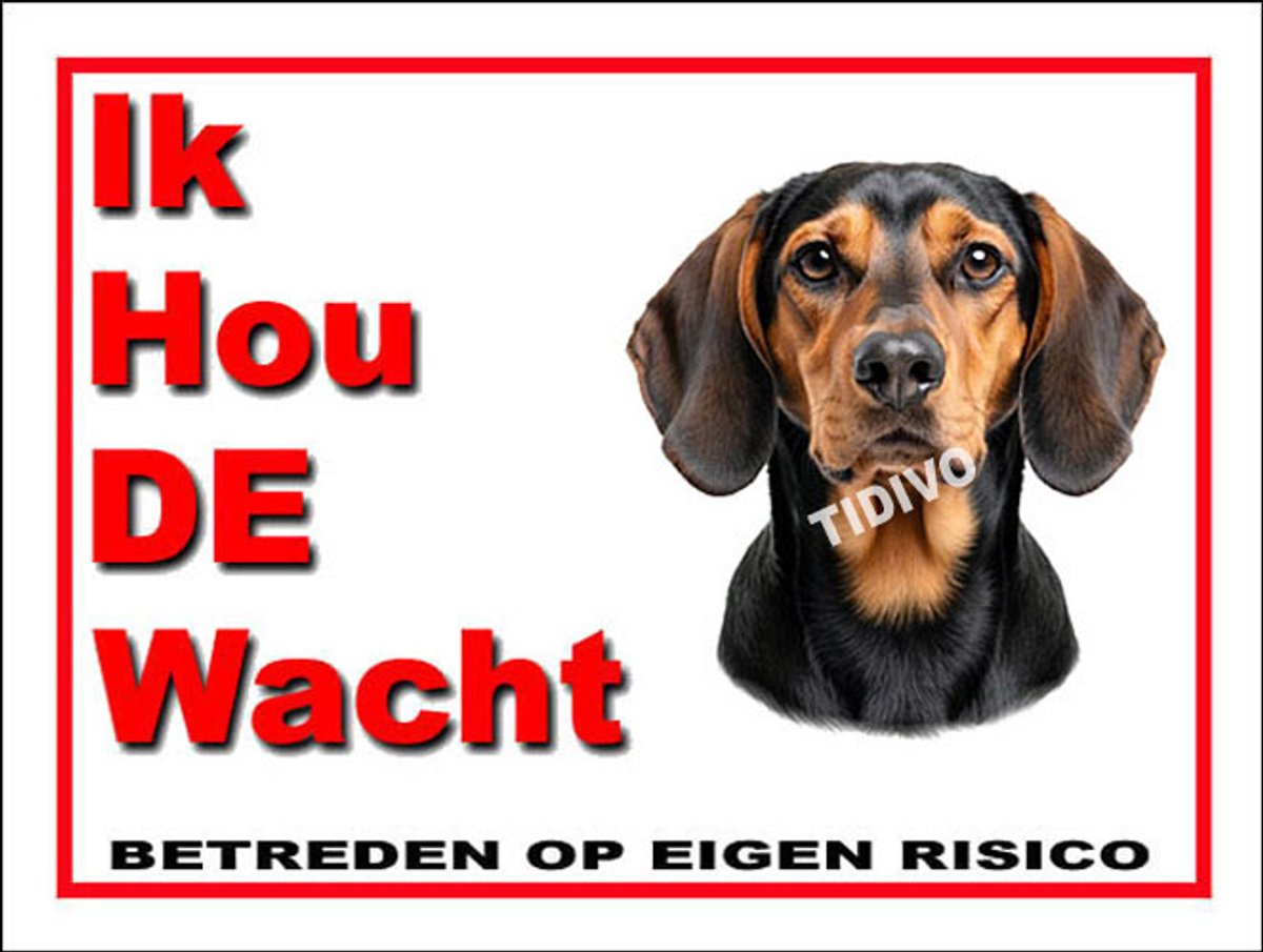 Schillerstövare 7