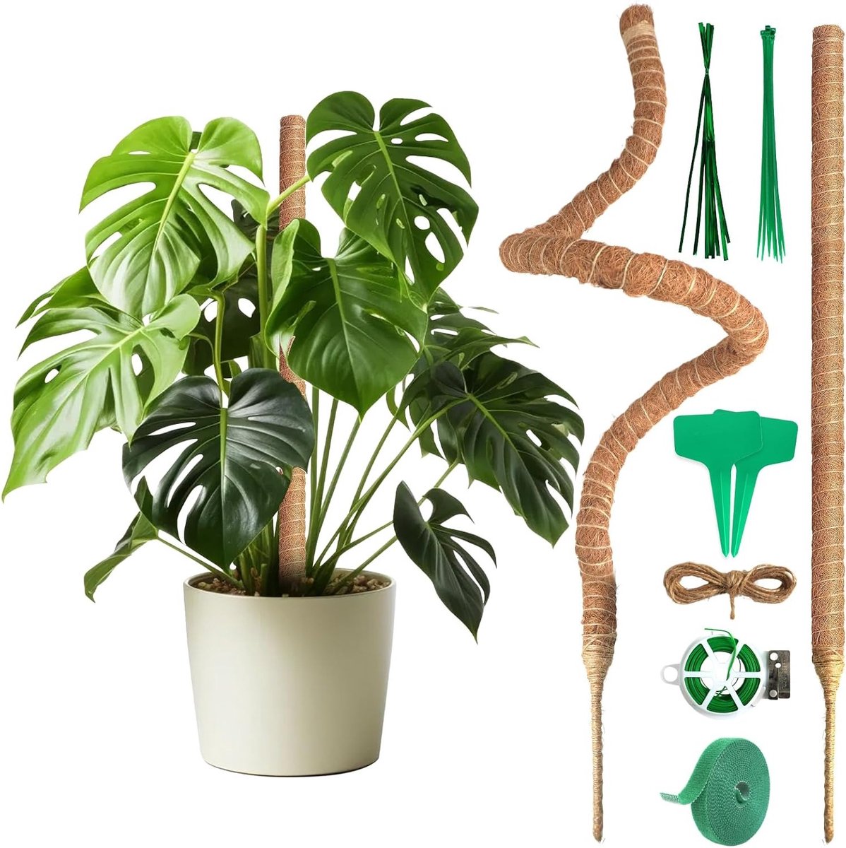 Steun voor Klimplanten 120 cm (Set van 2) - Flexibele Mosstokken van Kokosvezel met Accessoires voor Binnenplanten en Monstera Steun