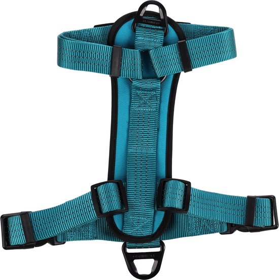 Turquoise honden-harnas met zwarte gespen en reflecterende strepen.