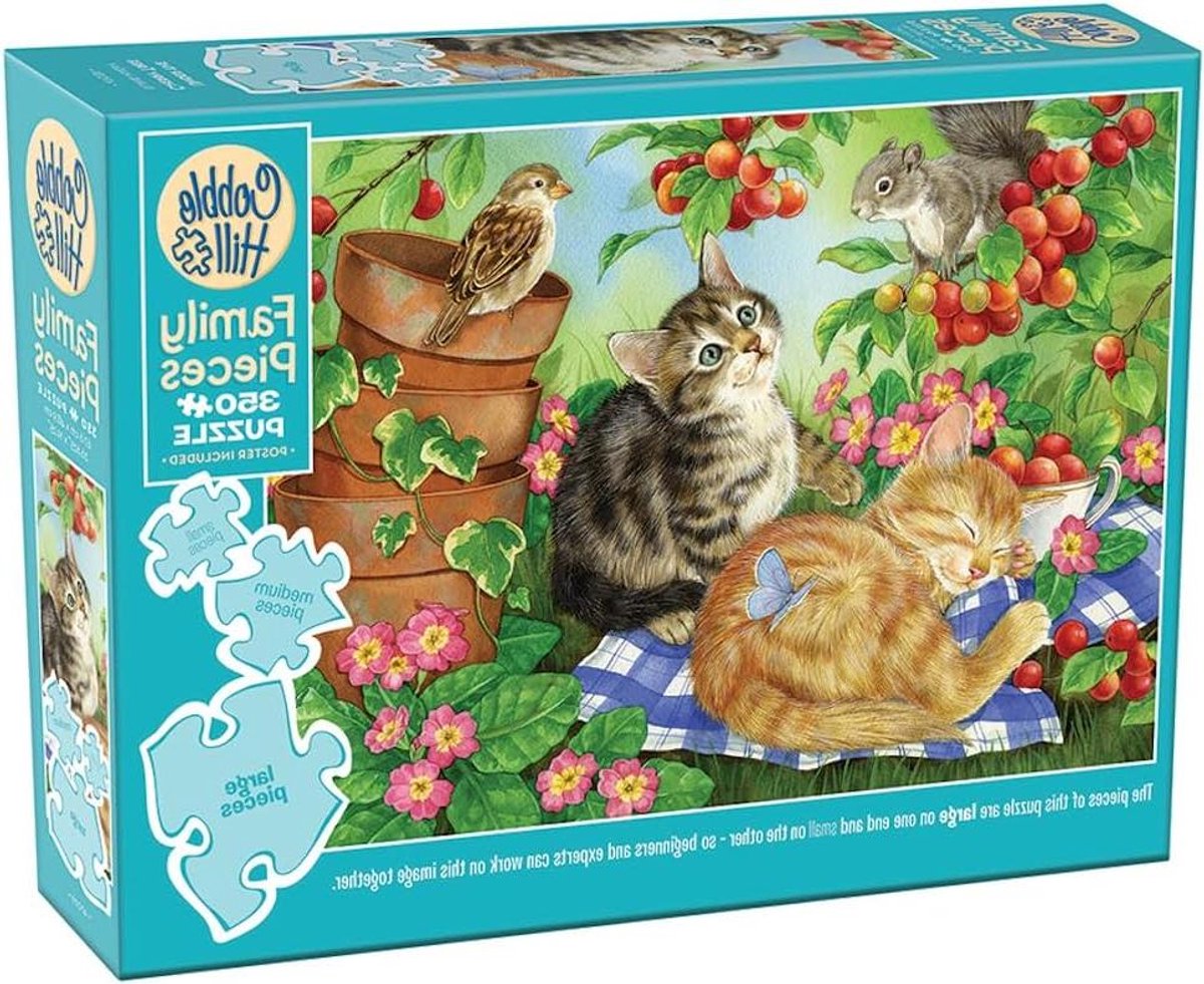 Legpuzzel 350 stukjes - Puzzel spel - Ontspannen tijdverdrijf - Willekeurig gesneden stukken - 26.5 x 19.2 inch