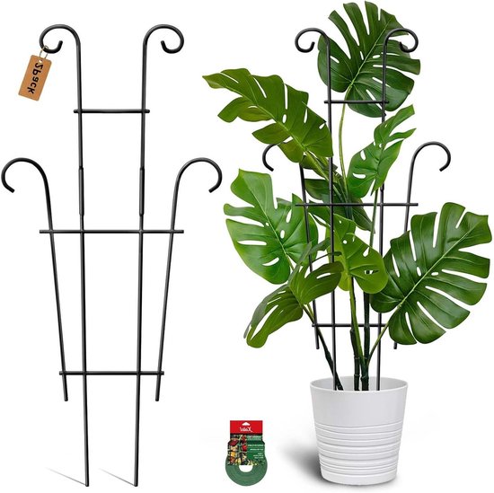 Plantenrooster 2 stuks - Klimplantsteun Tuinrooster - Planten Ondersteunen - Roestvrij Metaal - 58 cm Hoog - Zwart