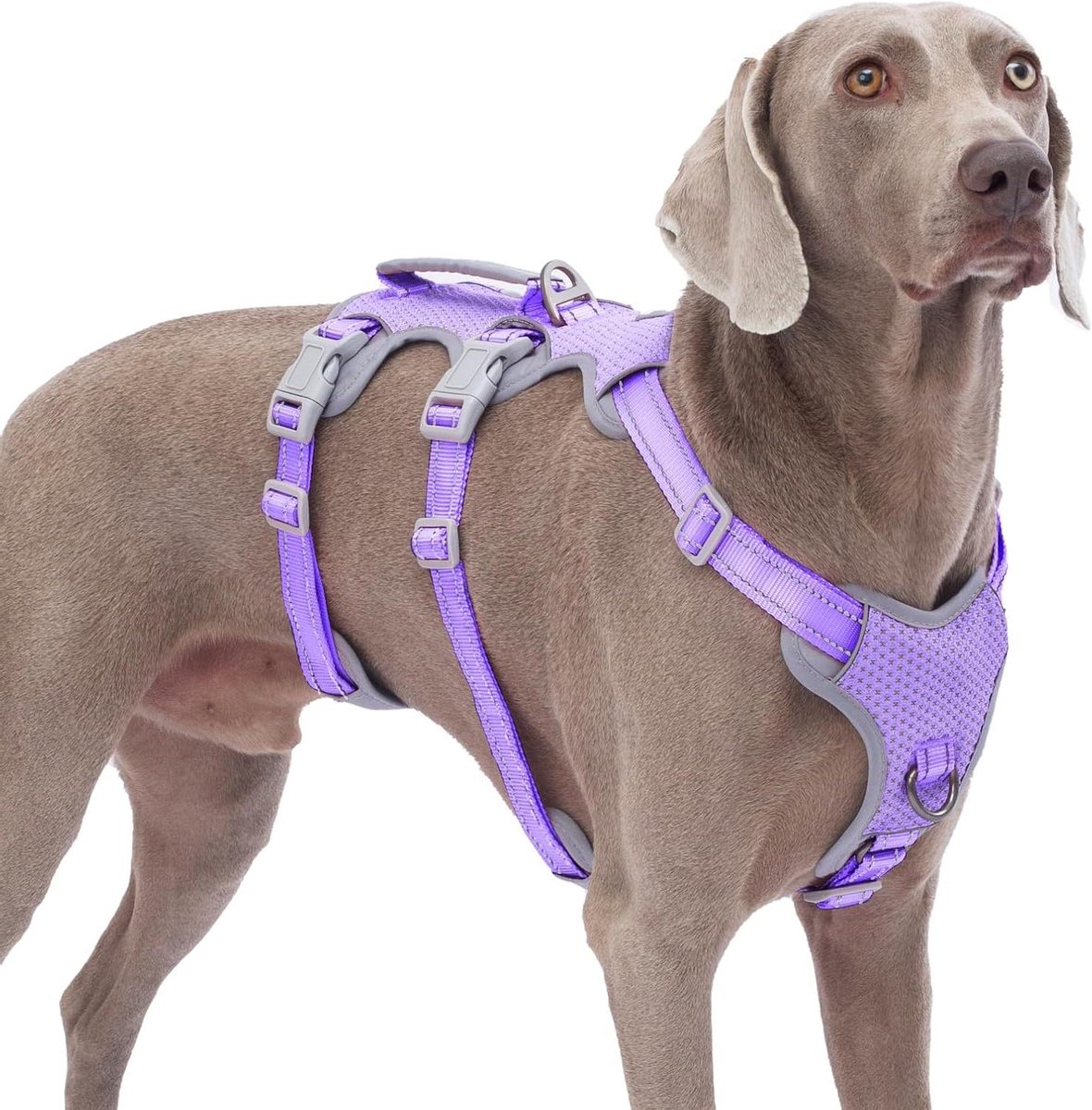 Hondentuig Ontsnappingsbestendig - Honden Harnas Veilig - Veilig Wandelen Hond - Volledig Reflecterend Ontwerp - L Nekomtrek 38-57cm - Lavendel Paars