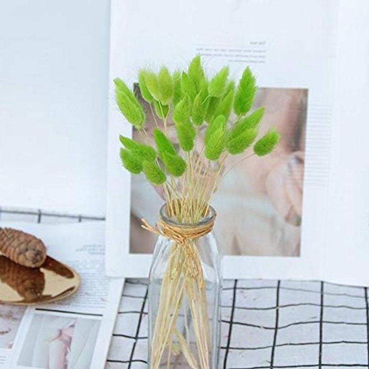 Gedroogde Bunny Staart Gras - Natuurlijk Pampas Gras - Huis Decoratie - Zon Gedroogde Bloemen - 50 cm - Groen