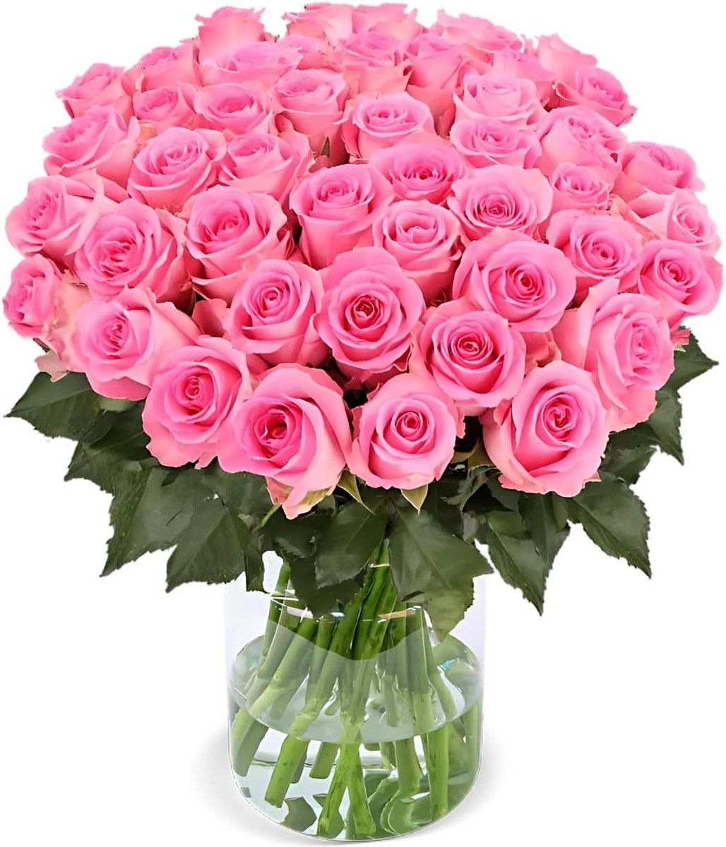 Rozenboeket - Rozen bos - Decoratie en Cadeau - 7 dagen versheidsgarantie - 20 rozen - Roze