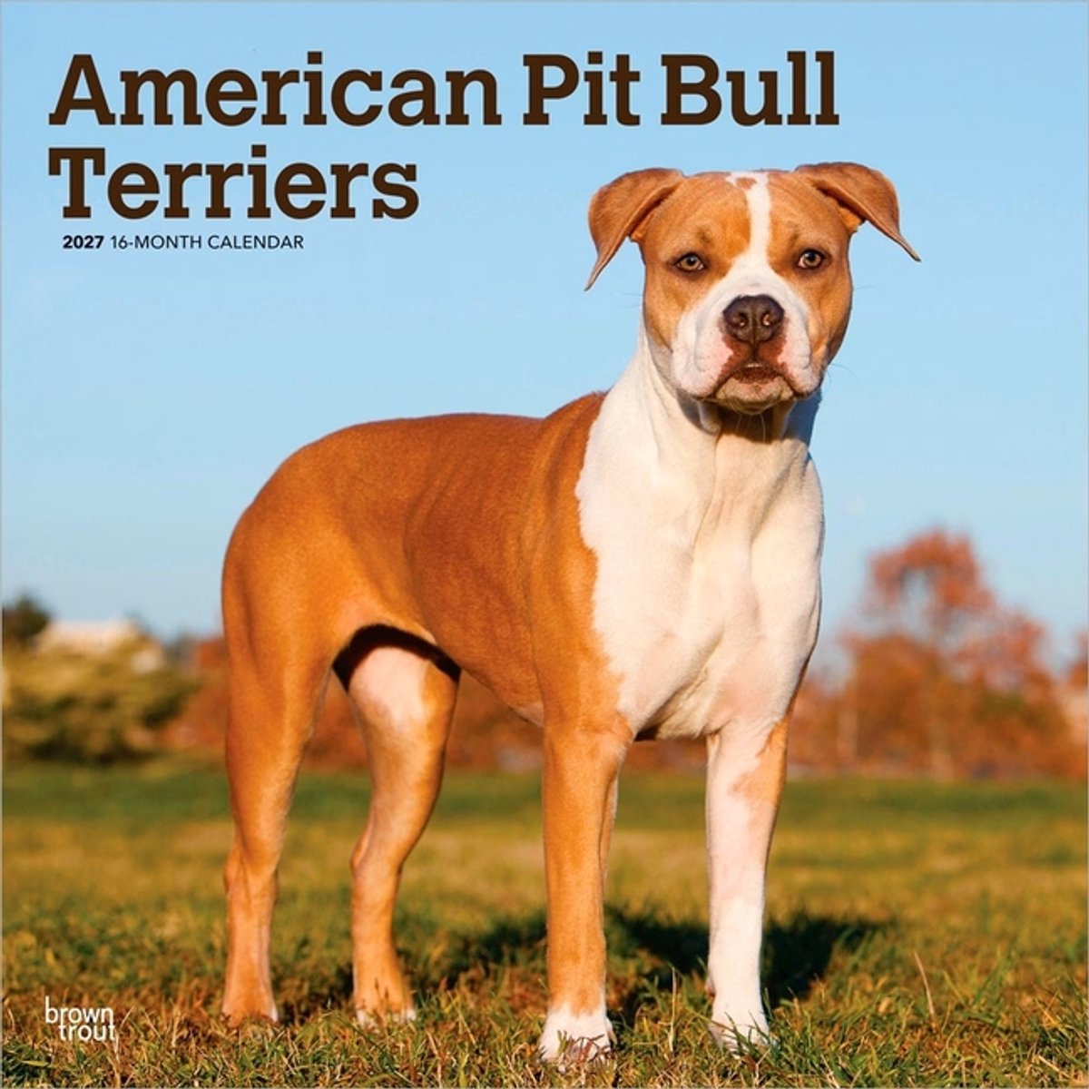 American Pit Bull Terrier Kalender 2027