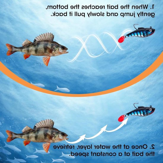 Set van 5 Rubberen Kunstaas met Jigkop voor Forel, Snoekbaars en Baars, Paddlestaart voor Zoet en Zoutwater (11 cm) — afbeelding 5