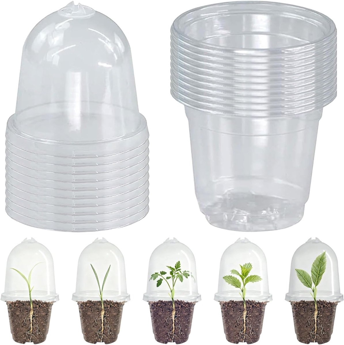Set van 10 Transparante 7.5 cm Plantpotten met Vochtige Deksel en Afvoergaatjes voor Zaadjes, Stekken en Succulenten