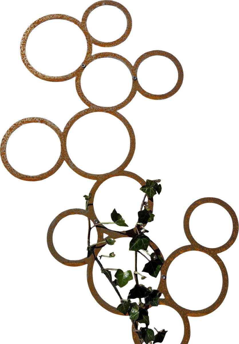 Klimplantrek RING - CORTENSTAAL - Buiten - Klimop - Muurmontage