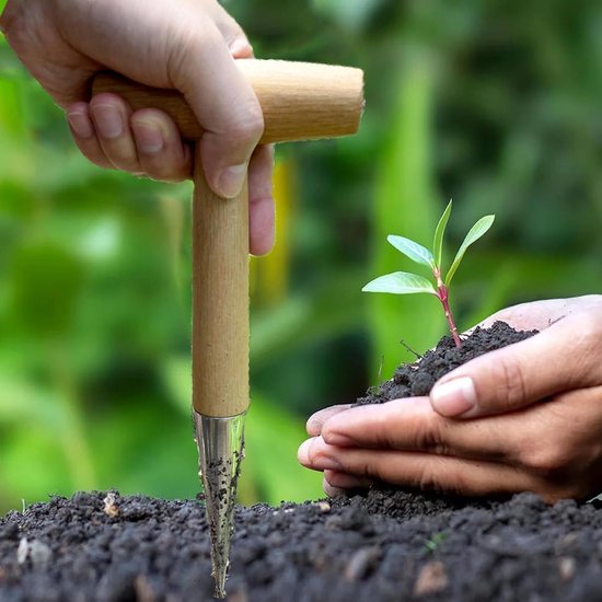 Tuin Dibber - Bodemponker Zaailing - Zaden Planten - Ergonomisch Houten Handvat - 28 cm Lengte - Zilver Hout — afbeelding 5