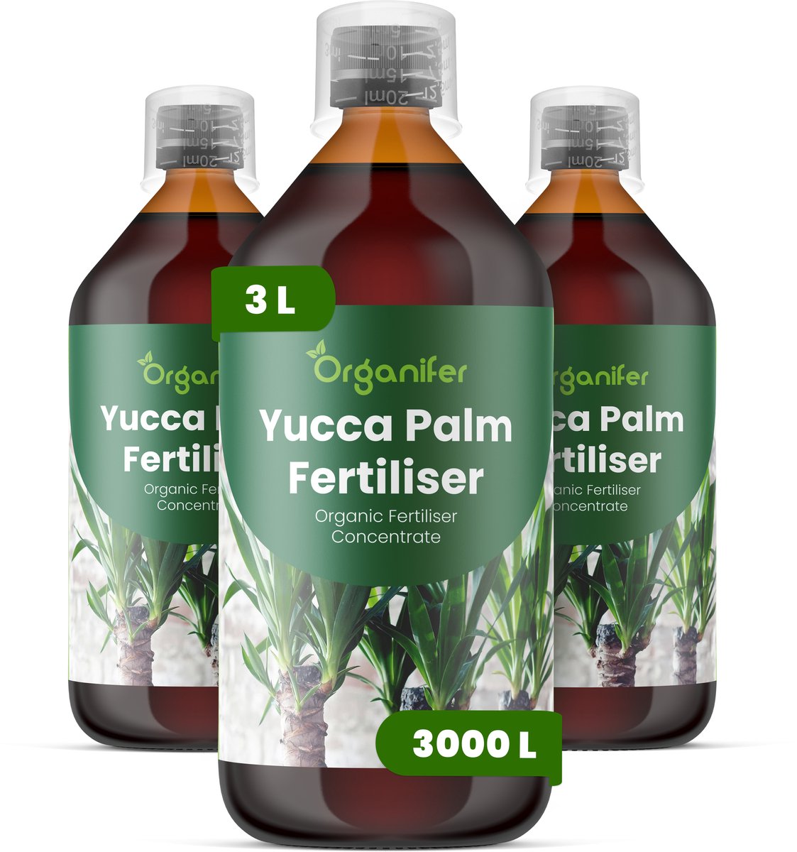 Vloeibare Meststof Voor Yucca Palmen - 3X1 L Voor 3000 L - Npk 2-1-8 - Geschikt Voor Yucca-Palmen In Pot En In De Tuin - Versterkt De Wortels - Helpt De Compacte - Architecturale Plantvorm Te Behouden - Ontwikkeld Voor Regelmatig - Organifer