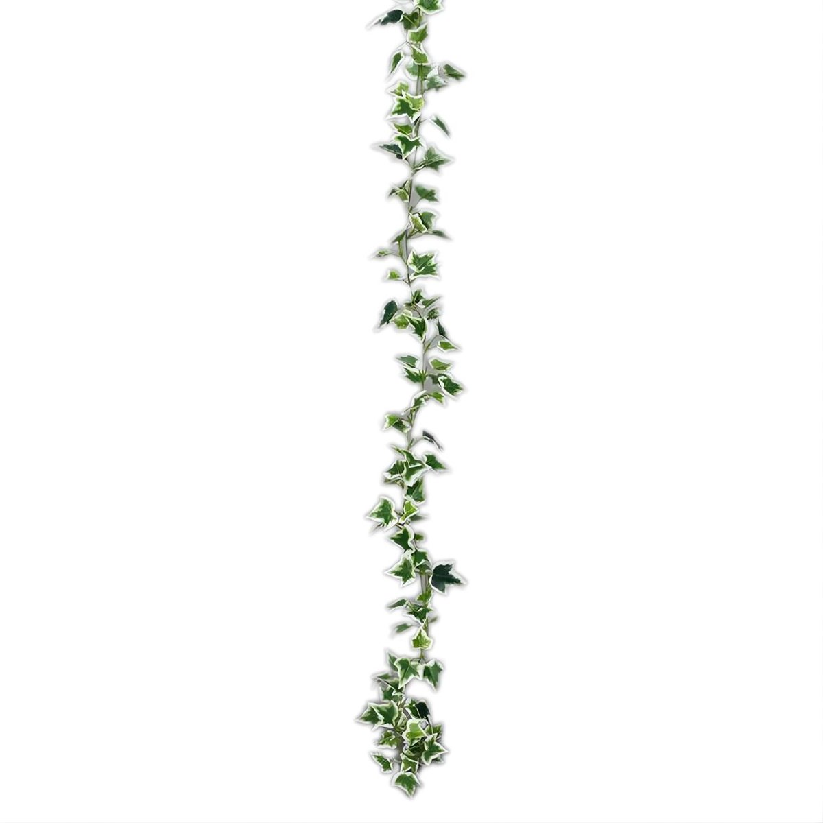 Mica Decorations Kunstplanten Hedera Slinger - 179 x 11 cm - groen/wit - kunststof - decoratie - bladgroen Lichtgroen