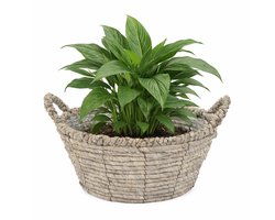 Mega Collections bloemen/plantenmand Sneek - grijs - riet - D25 x H11 cm - bloempot/plantenpot