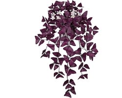 Kunstmatige Oxalis Triangularis Hangplant 55 cm - Neppaarse Klaver in Witte Pot - Perfecte Decoratie voor Binnen, Thuis, Kantoor en Badkamer