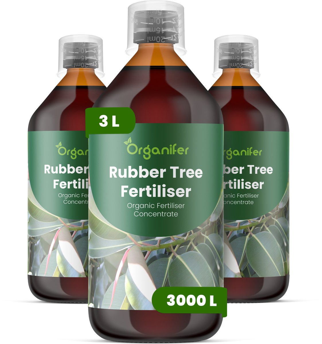 Vloeibare Meststof Voor Rubberboom 3X1 L Voor 3000 L - Npk 2-1-8 - Ondersteunt Sterk Glanzend Blad Bij Rubberbomen - Verbetert Bladdikte En Diepgroene Bladkleur - Geschikt Voor Langdurige Verzorging Van Kamer- En Kantoorplanten - Organifer