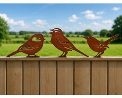 Metalen Tuinvogels van Cortenstaal – Decoratie voor Tuin & S