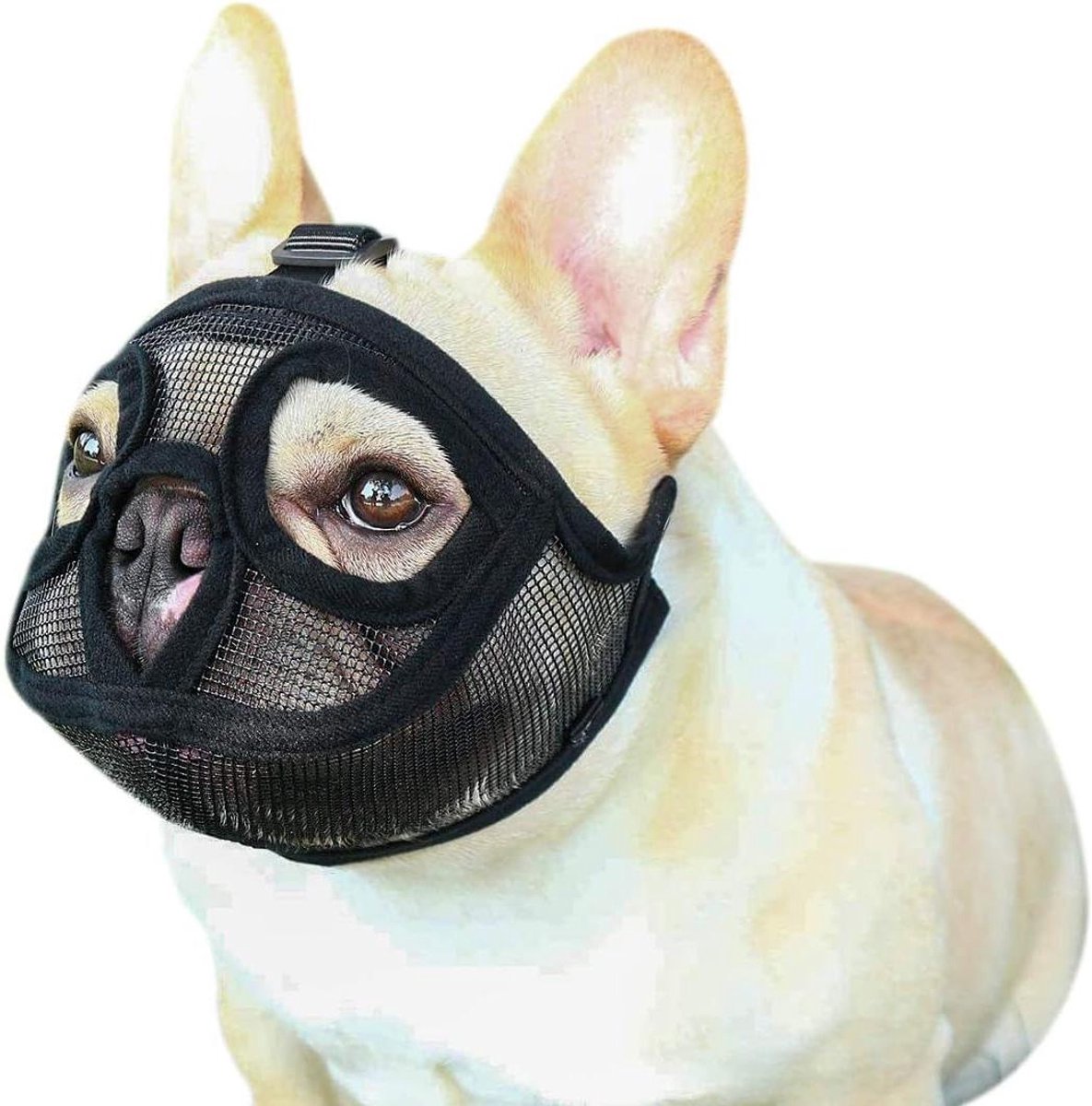 Honden Muilkorf - Korte Snuit - Veilig Uitstapje - Ademend PVC Net - Medium - Zwart