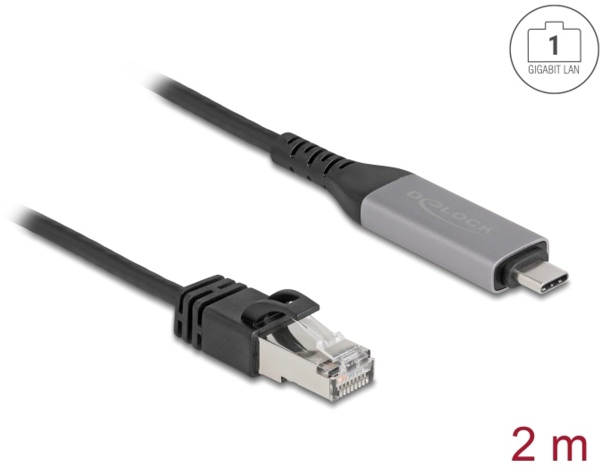Delock USB LAN Cable USB Type-C™ to RJ45 Gigabit Ethernet 2 m