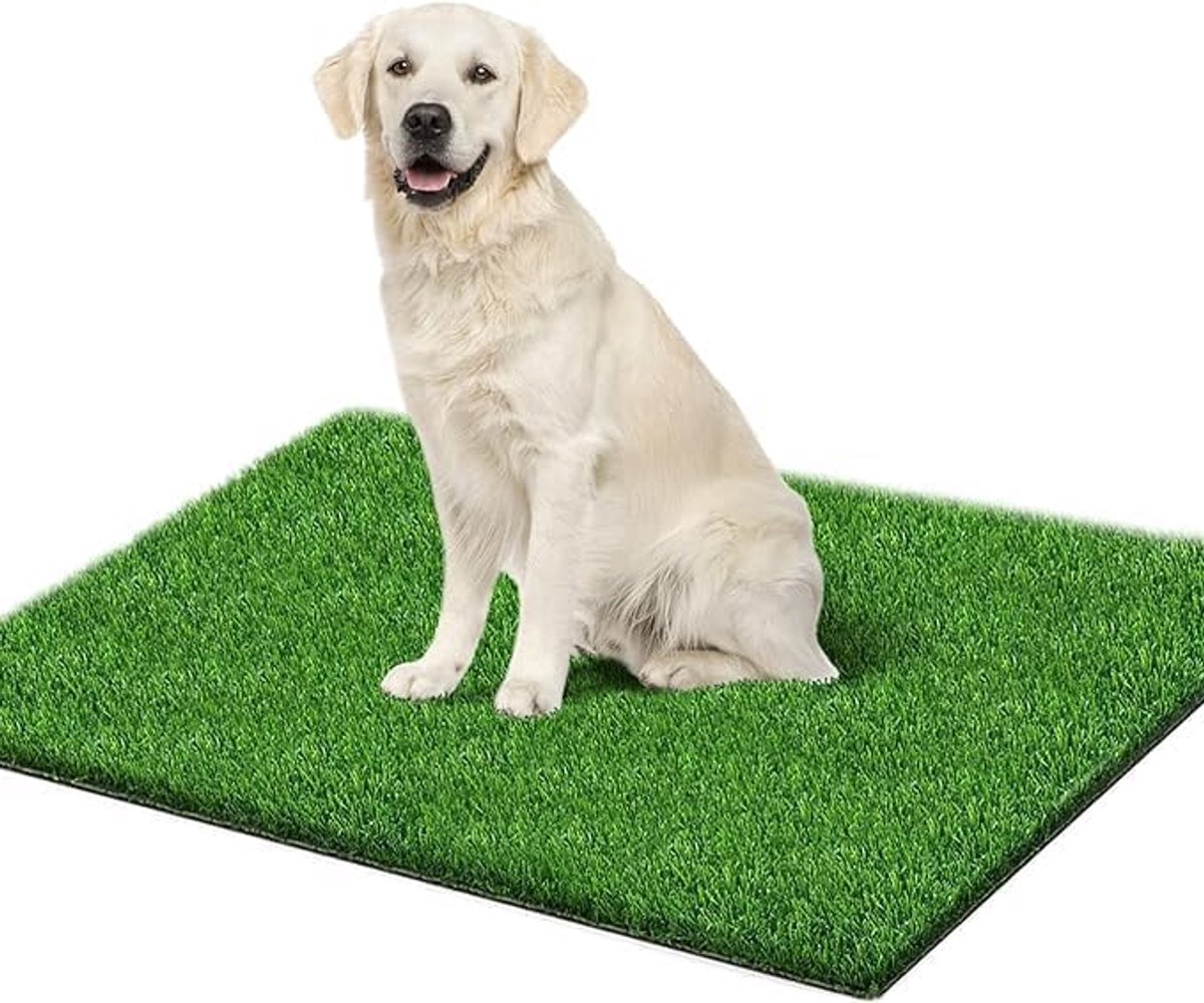 Kunstgras Hondentoilet - Hondenmat Zindelijkheid - Balkon Training - Realistisch Grasgevoel - 80 x 130 cm - Groen
