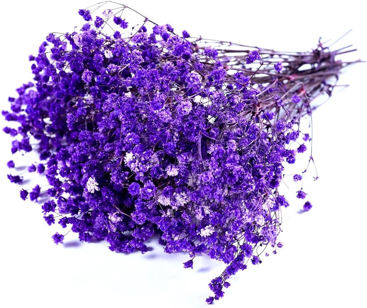 Gedroogde bloemen voor cadeauverpakkingen, verzamelalbums en handgemaakte geurkaarsen - Perfecte decoratie en unieke geschenken