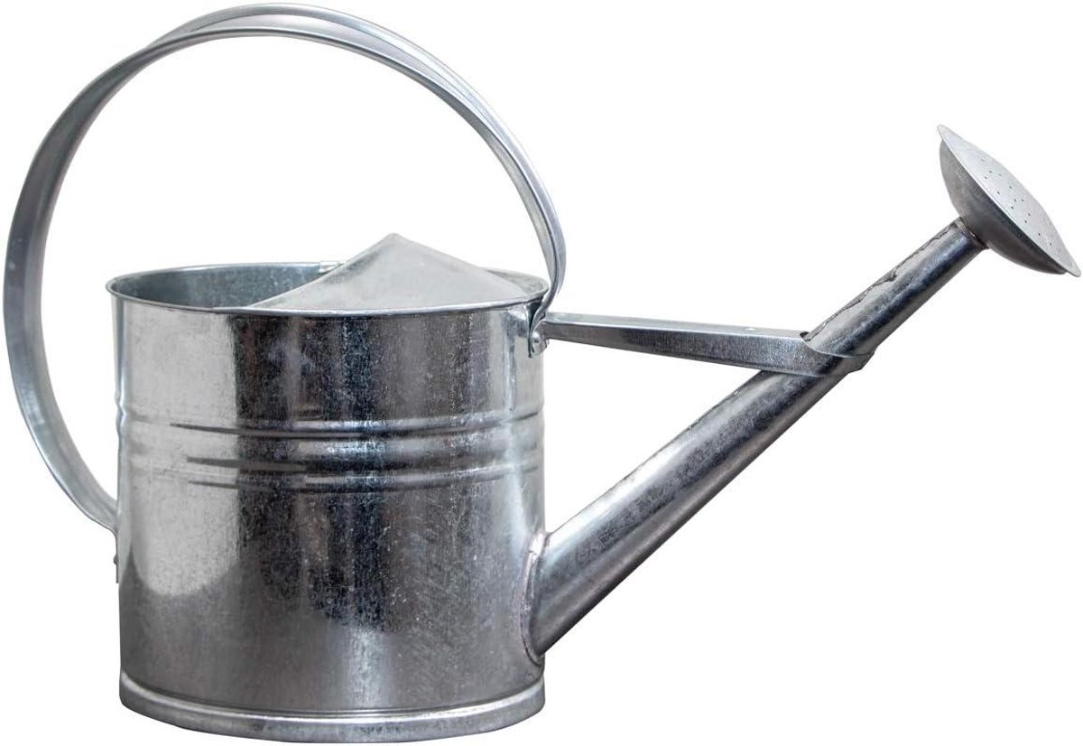 Waterkan Zink - Decoratieve Gieter - Planten Water Geven - Handgemaakt Ontwerp - 60 cm Breed - Zilver
