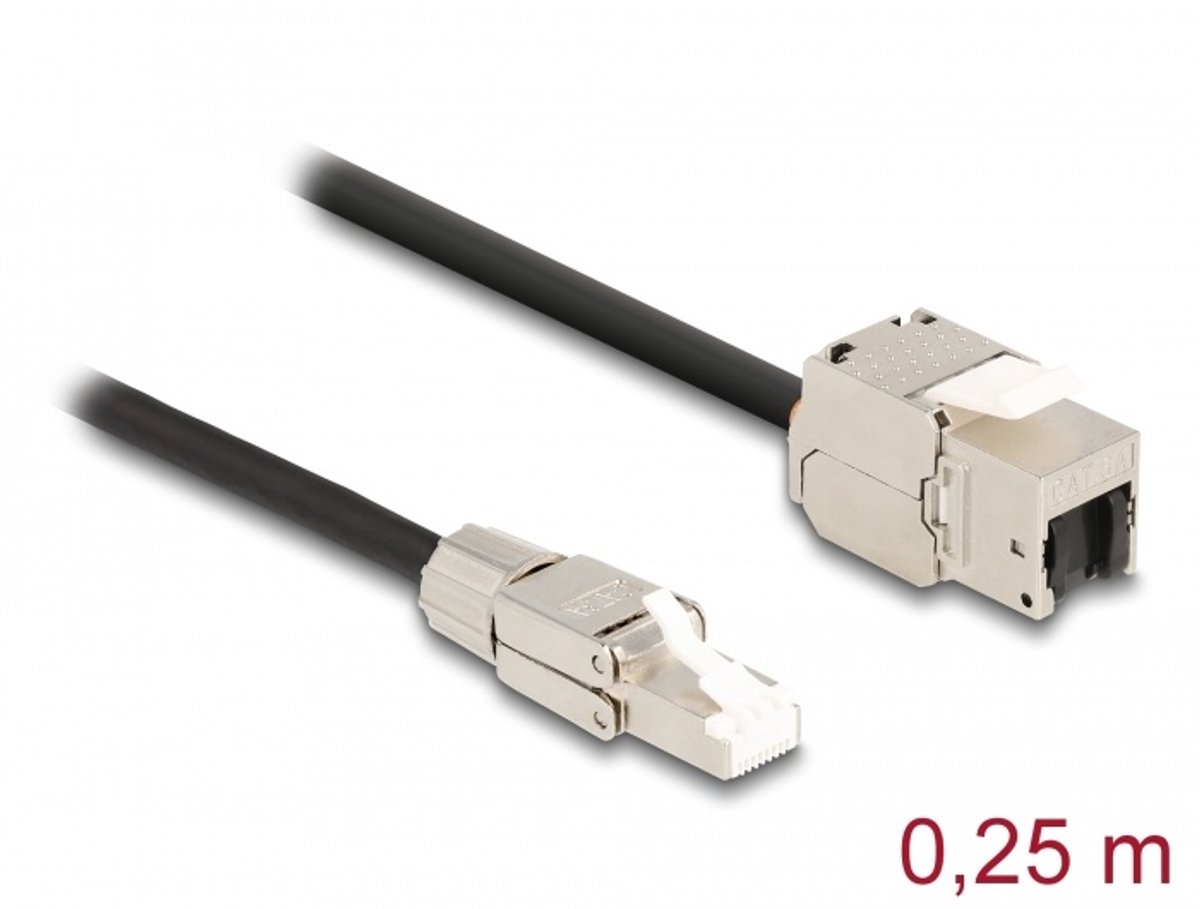 Kabel RJ45 plugveldsemblage naar keystone module RJ45 Jack Cat.6A 25 cm