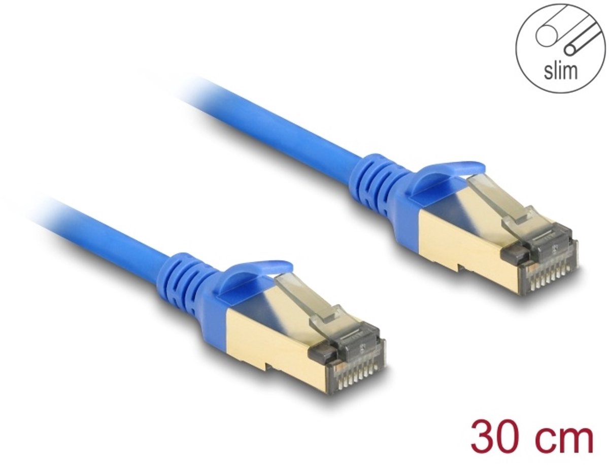 DeLOCK 80331 netwerkkabel Blauw 0,3 m Cat8.1 F/FTP (FFTP)