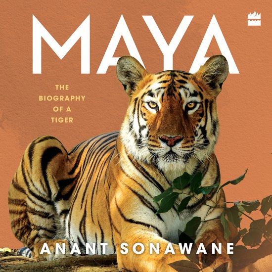 Maya - cover