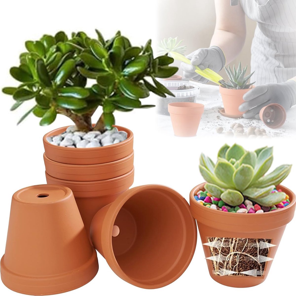 Famanu – Set van 6 terracotta bloempotten met een diameter van 12 cm en afvoergat, ideaal voor kamerplanten