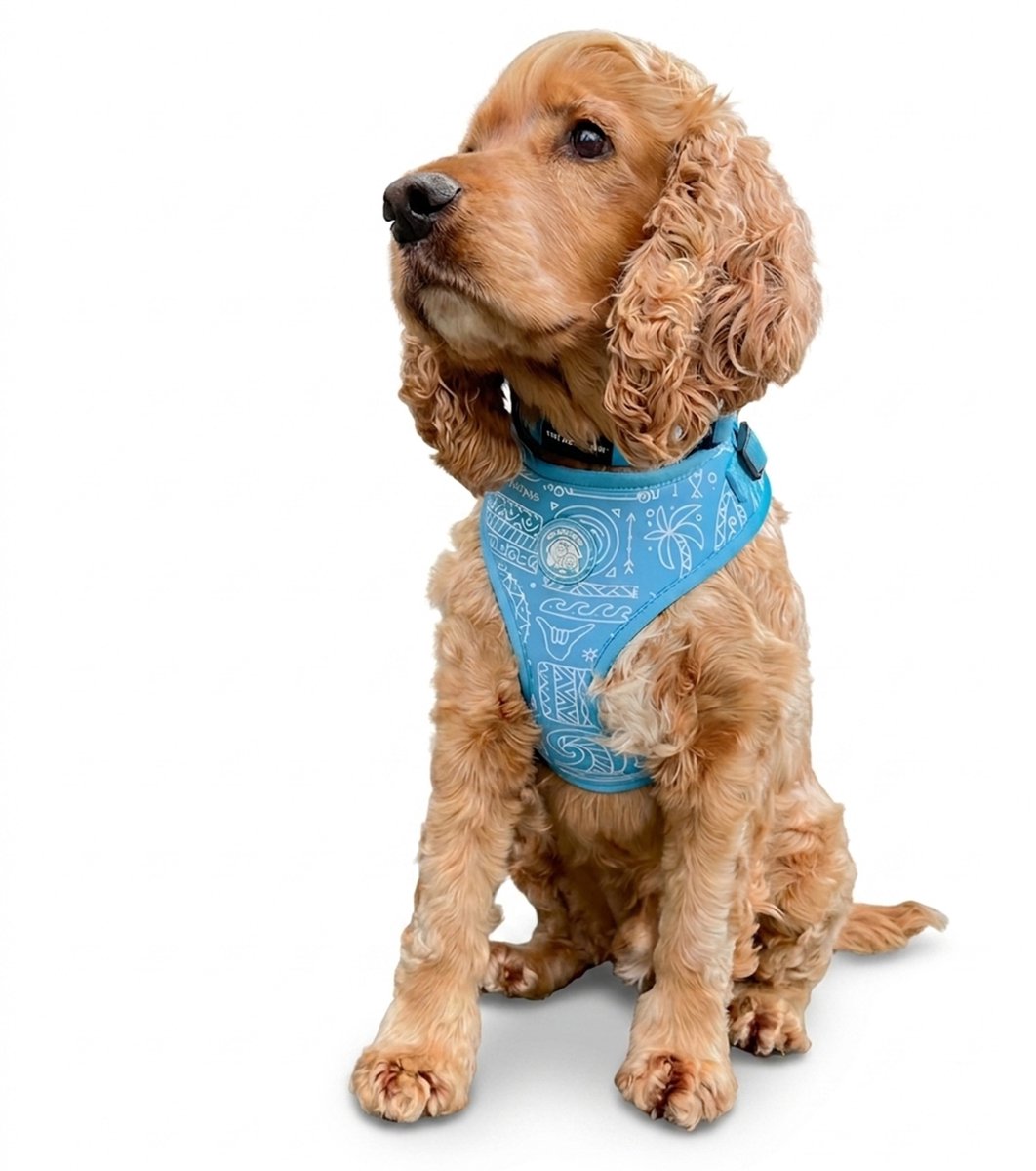 The Dog Farm Hondentuigje - Hondenharnas - Y Tuig Hond - Zomer Blauw - Maat S - Honden Tuig Met Print
