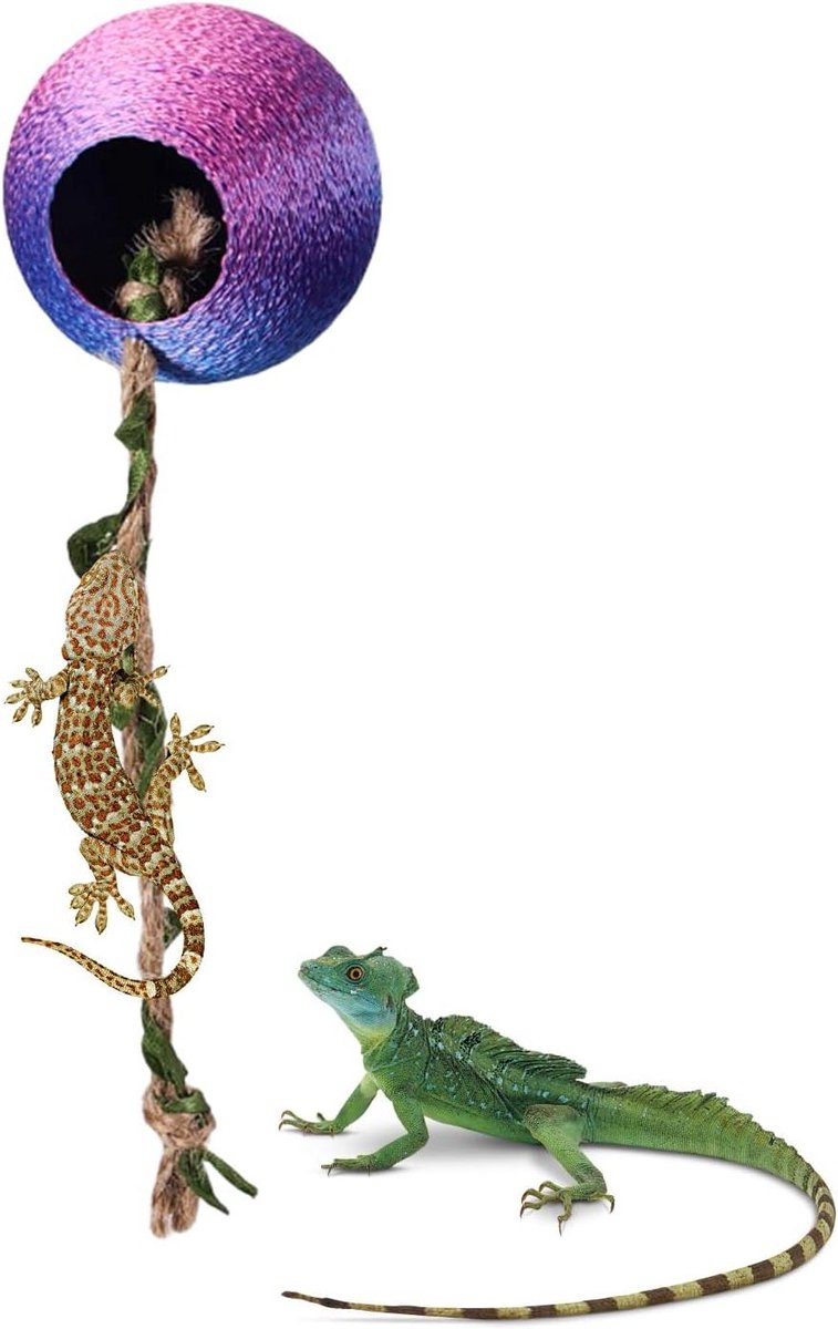 Springspinnen Grot - Vogelspin Terrarium Habitat - Reptielen Verrijking - Magnetisch Ontwerp - 5x15cm - Niet gespecificeerd