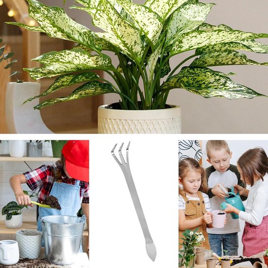 Allecto - Bonsai hark - Wortelhark met 3 tanden - Ergonomische handgreep - Tuingereedschap - Voor het losmaken van aarde - Geschikt voor planten en... van Allecto — afbeelding 3