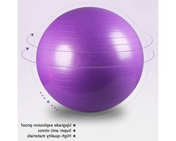 Fitness Bal - Gym Yoga Bal - Evenwichtstraining Thuis - Anti-Burst PVC Materiaal - 75 cm - Blauw