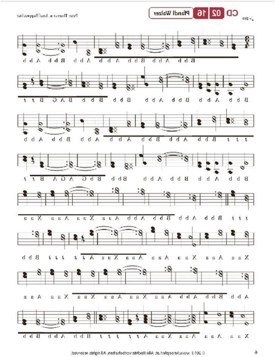 Foto: Muziekboek accordeon bladmuziek muziek leren inclusief cd diatonisch houtkleur