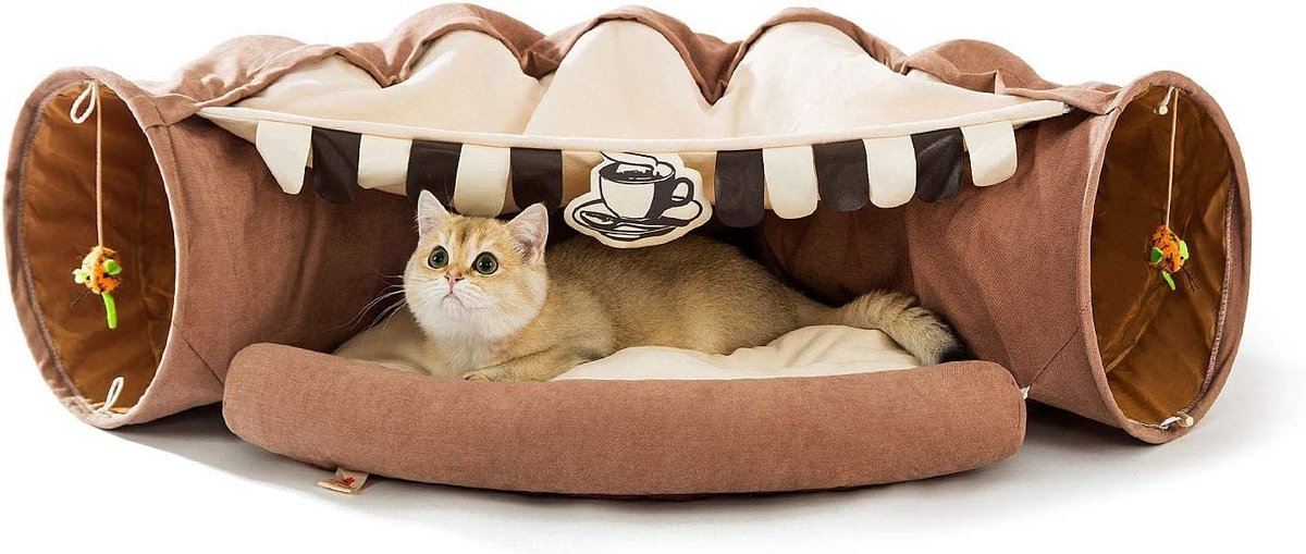 Kattentunnel met Kattenmand & Slaapplaats – Opvouwbare Speeltunnel voor Katten en Kleine Honden – Zachte 3-in-1 Katten Tunnel met Speelballen & Uitneembaar Kussen – Matcha & Koffie