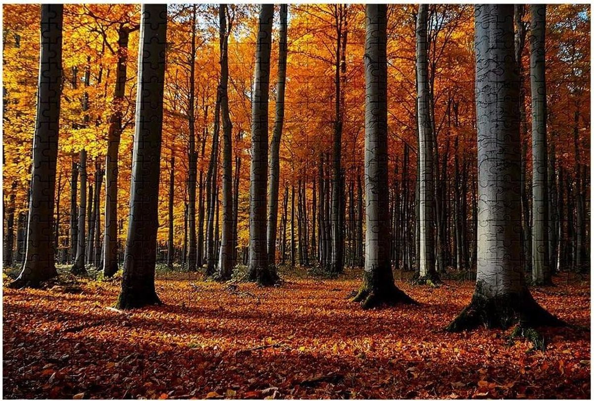 Puzzel 6000 Stukjes - Bos Puzzel - Creatief Ontspannen - Lindehouten Kwaliteit - 179 x 105 cm - Meerkleurig