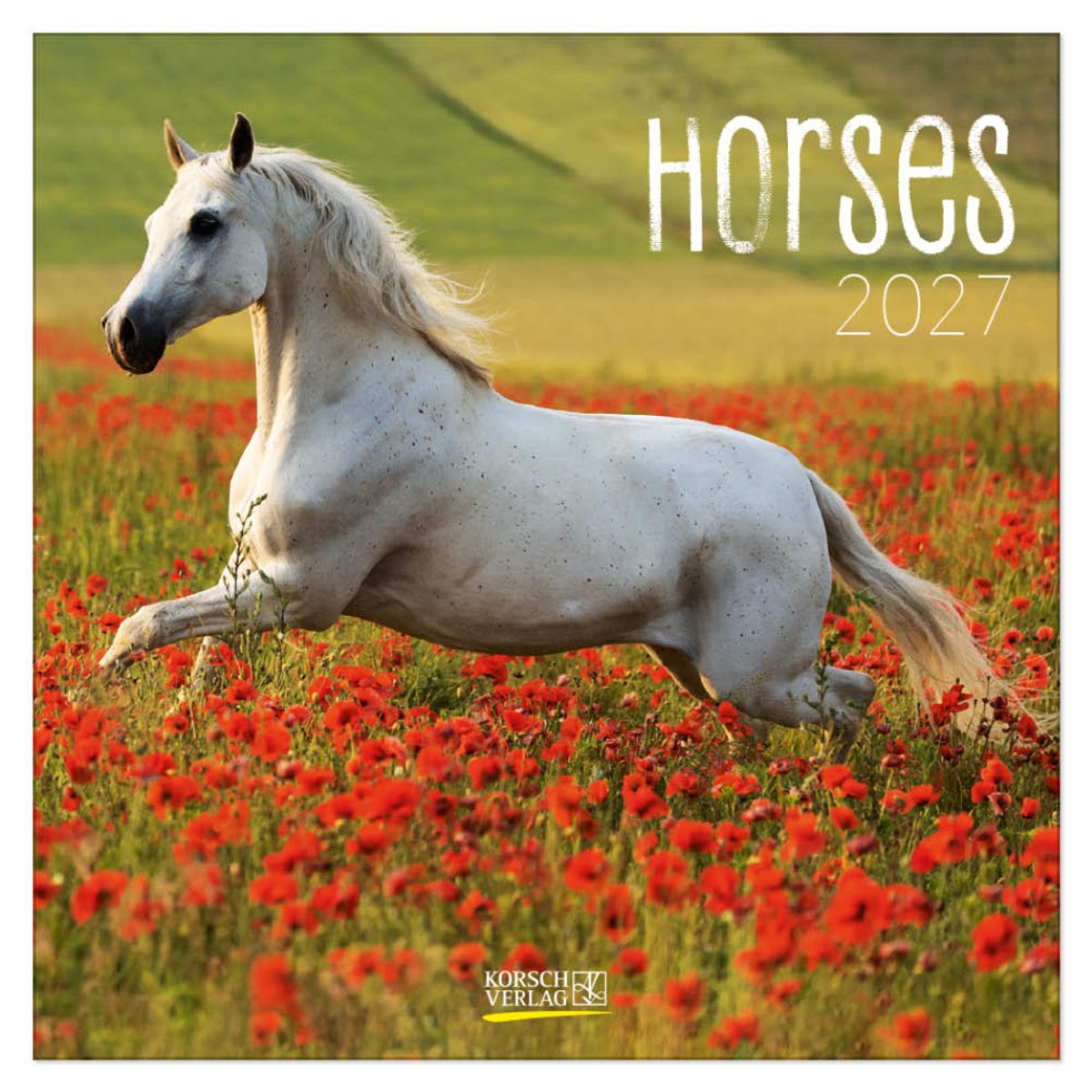 Paarden Kalender 2027