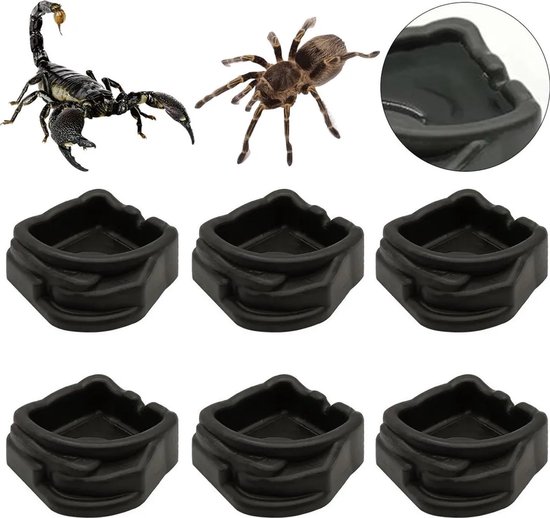 Mini-bakjes van hars, set van 6, geschikt als water- en voerbakjes voor spinnen, vogelspinnen, duizendpoten en kleine reptielen. Ideale accessoires voor terraria, stevig, duurzaam en veilig. van MINI — afbeelding 2