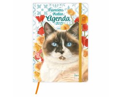 Franciens katten weekagenda Sjors 2027