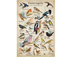 Vintage Poster Tuinvogels - 43 x 61 cm - Kleurmedia® Retro B